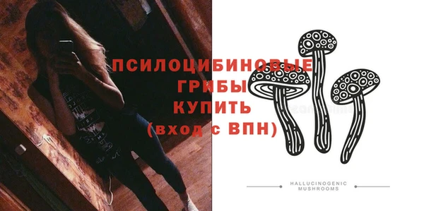 прущие крисы Арсеньев