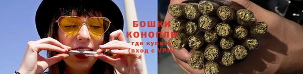 ГАЛЛЮЦИНОГЕННЫЕ ГРИБЫ Алексин