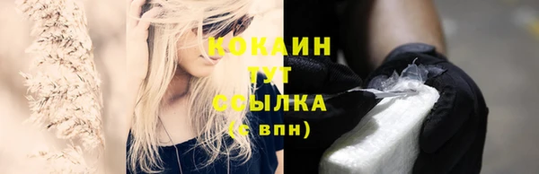 ГАЛЛЮЦИНОГЕННЫЕ ГРИБЫ Аркадак