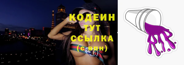 ГАЛЛЮЦИНОГЕННЫЕ ГРИБЫ Аркадак